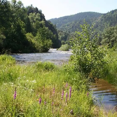 Pittoresque En Bord De Riviere Avec Jardin Clos, Proche Sports Et Sites Touristiques - Fr-1-582-176 Feriehus Alleyras