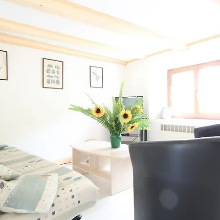 Pittoresque En Bord De Riviere Avec Jardin Clos, Proche Sports Et Sites Touristiques - Fr-1-582-176 *