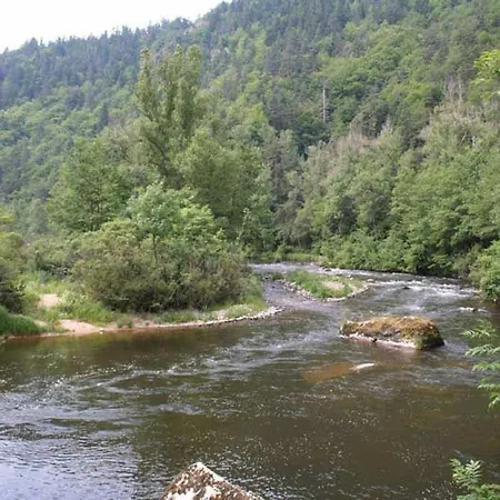 Pittoresque En Bord De Riviere Avec Jardin Clos, Proche Sports Et Sites Touristiques - Fr-1-582-176 Alleyras