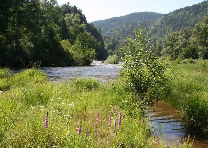 Pittoresque En Bord De Riviere Avec Jardin Clos, Proche Sports Et Sites Touristiques - Fr-1-582-176 Semesterbostad Alleyras