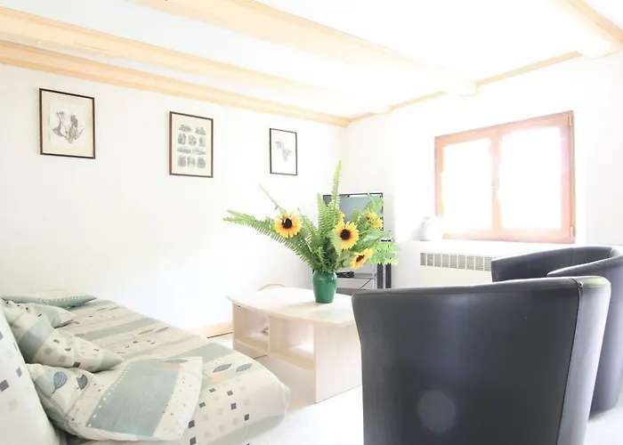 Pittoresque En Bord De Riviere Avec Jardin Clos, Proche Sports Et Sites Touristiques - Fr-1-582-176 *