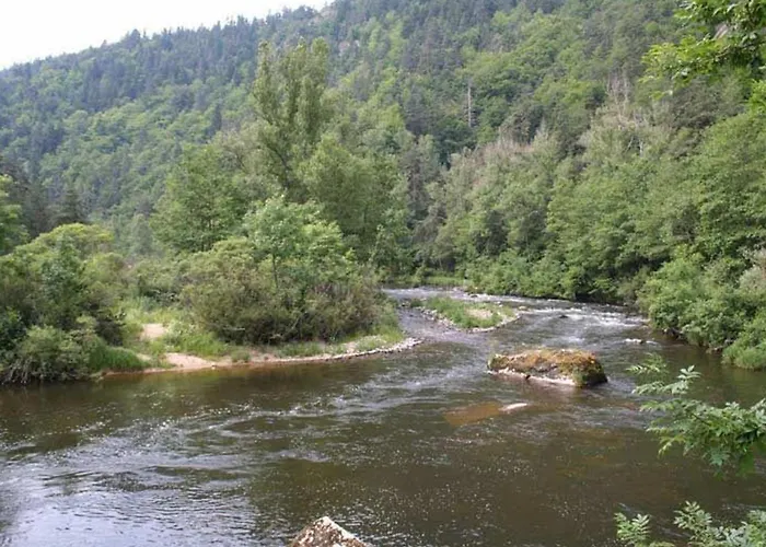 Pittoresque En Bord De Riviere Avec Jardin Clos, Proche Sports Et Sites Touristiques - Fr-1-582-176 Alleyras